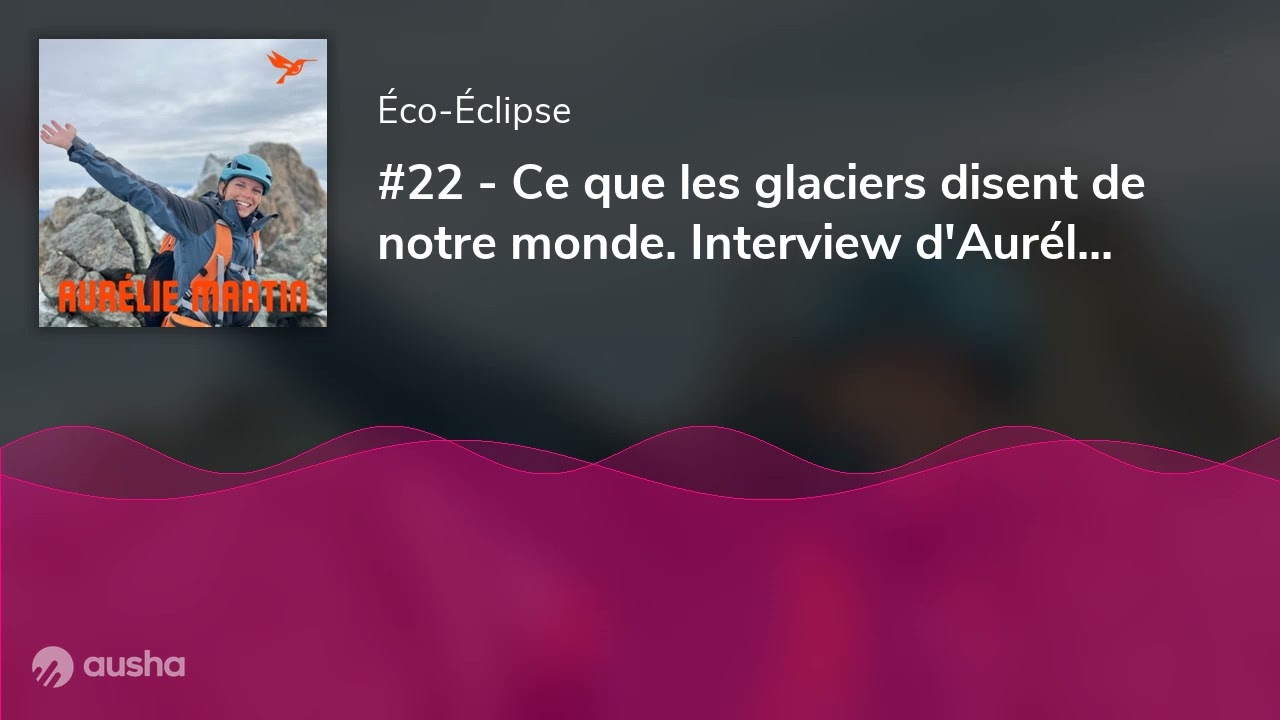 #22 - Ce que les glaciers disent de notre monde. Interview d'Aurélie Martin.
