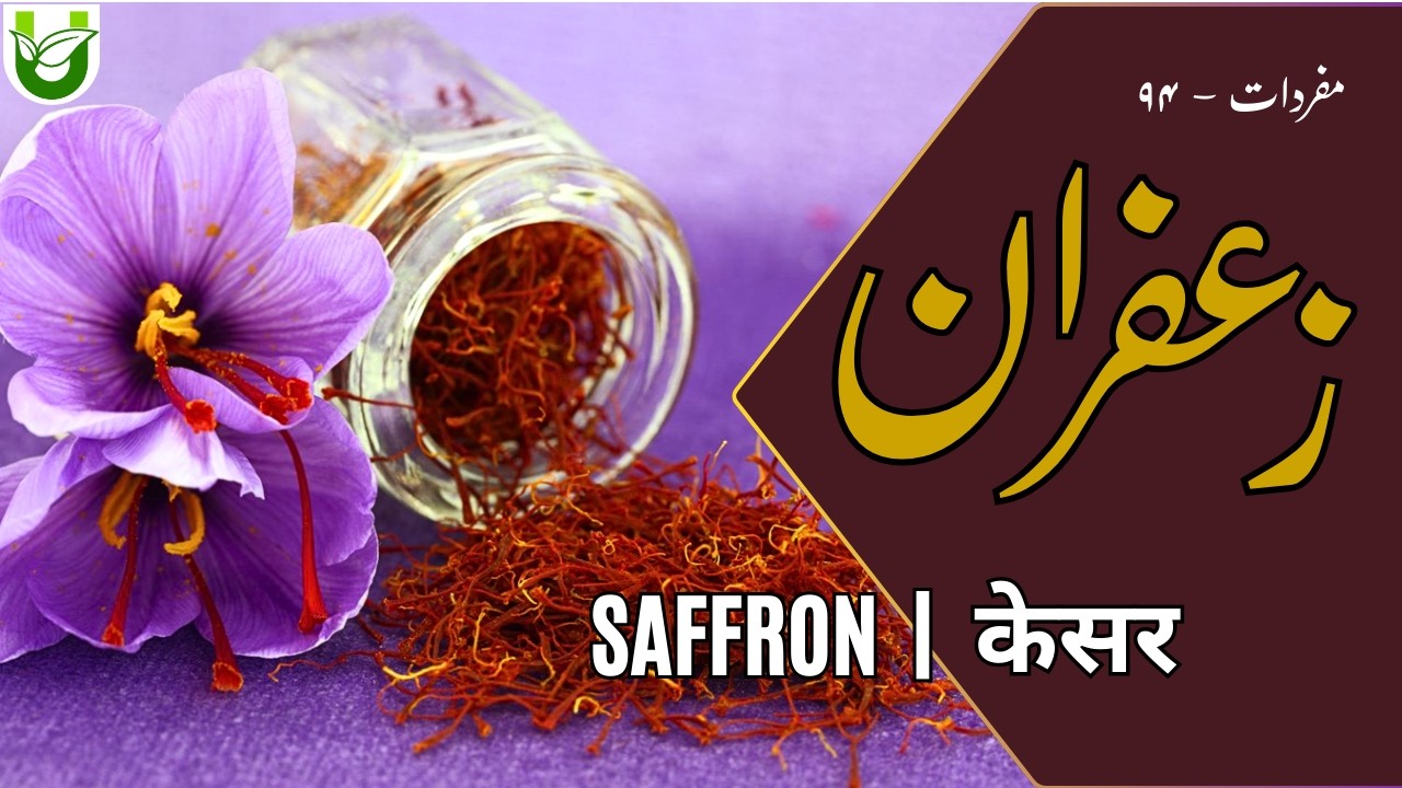 SAFFRON|Crocus sativus| زعفران