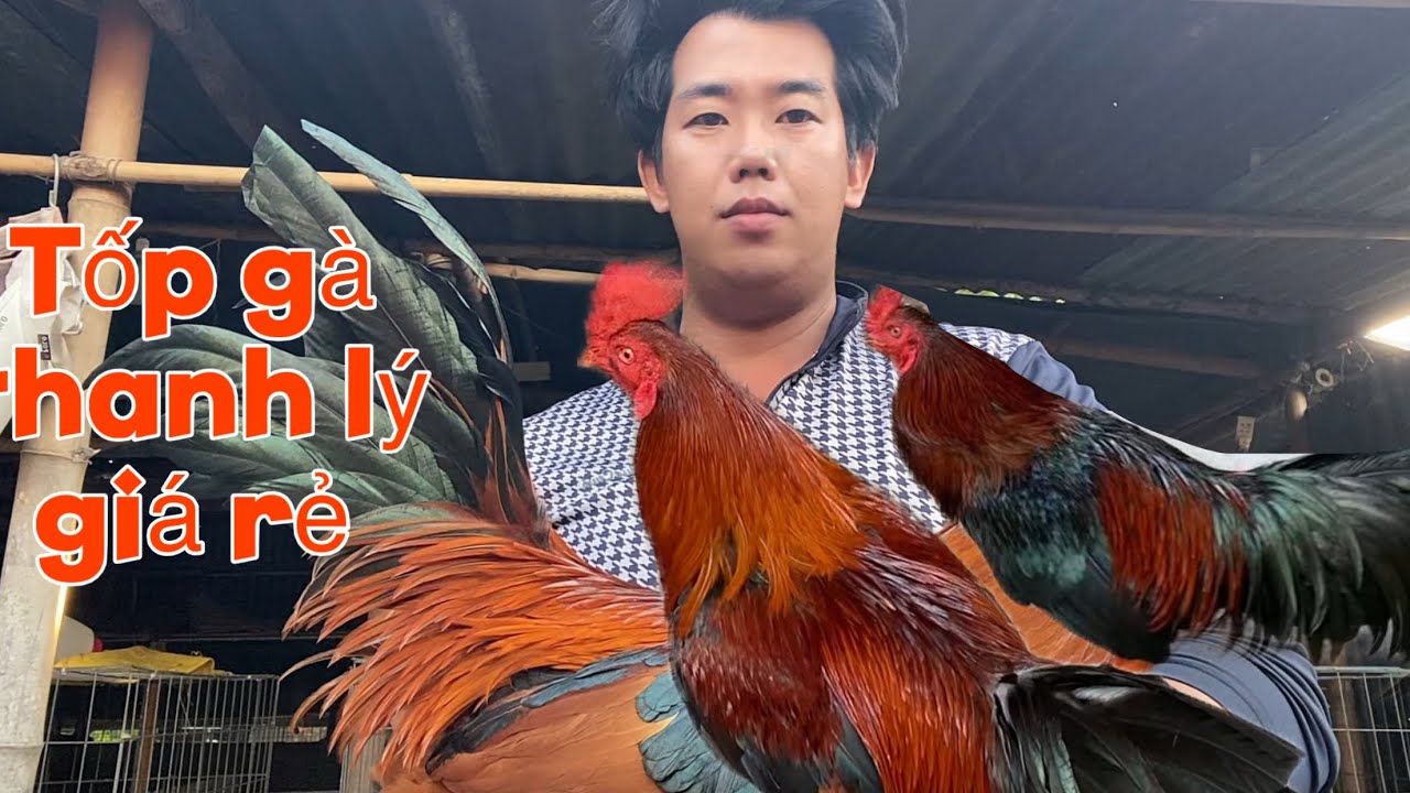 Tốp g à thanh lý cho anh em lh .(.0.3.9.2.9.4.9.4.1.2.)