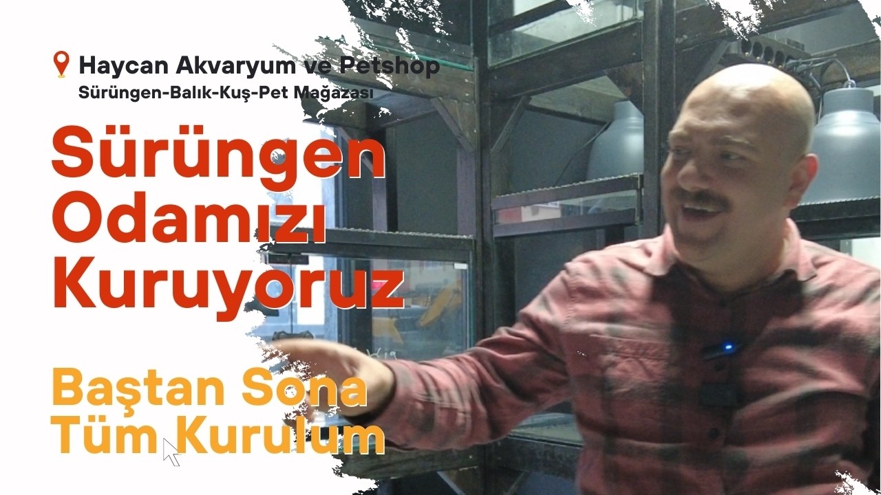 Sürüngen Odamızı Kuruyoruz | Baştan SonaTüm Kurulum