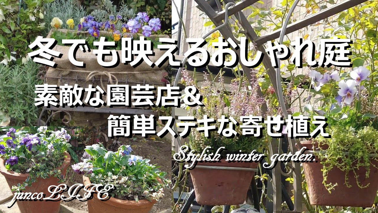 玄蕃ファームさん＆花のワルツさん＆さにべるさん最高でした＊簡単ステキな寄せ植えで華やかな冬庭＊猫ちゃん