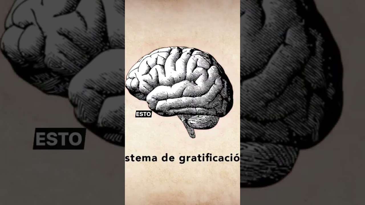 Efectos comunes al consumir cannabis