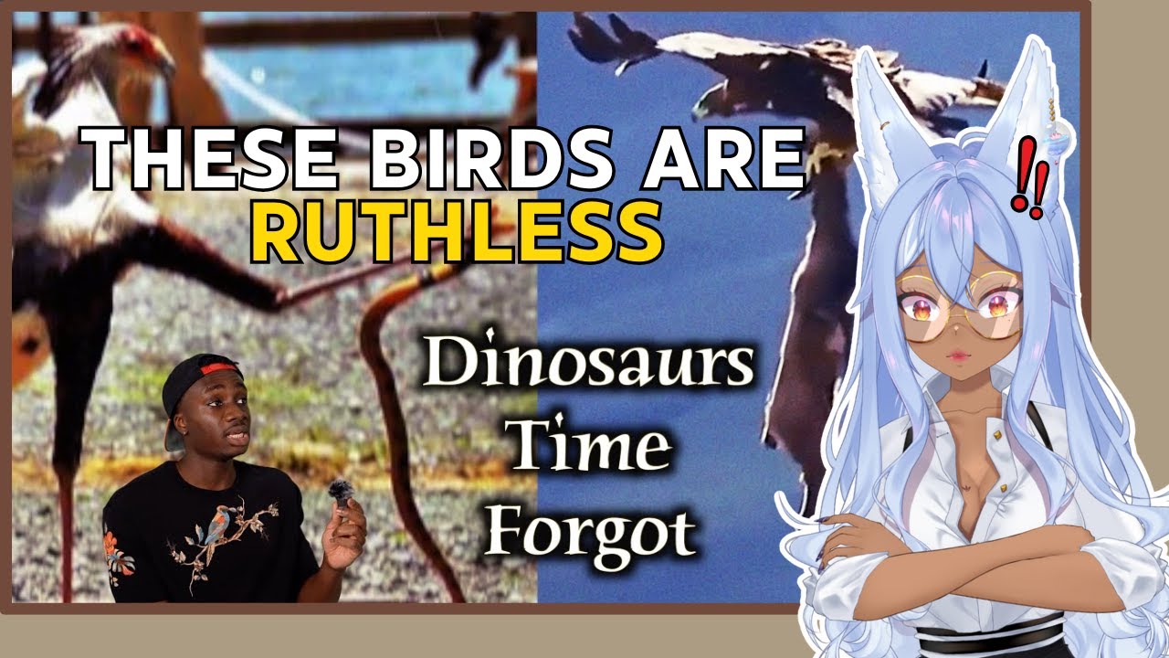 Vtuber Learns About The PSYCHOPATHIC Tendencies Of Those Birds | Channie Reacts to Casual Geographic