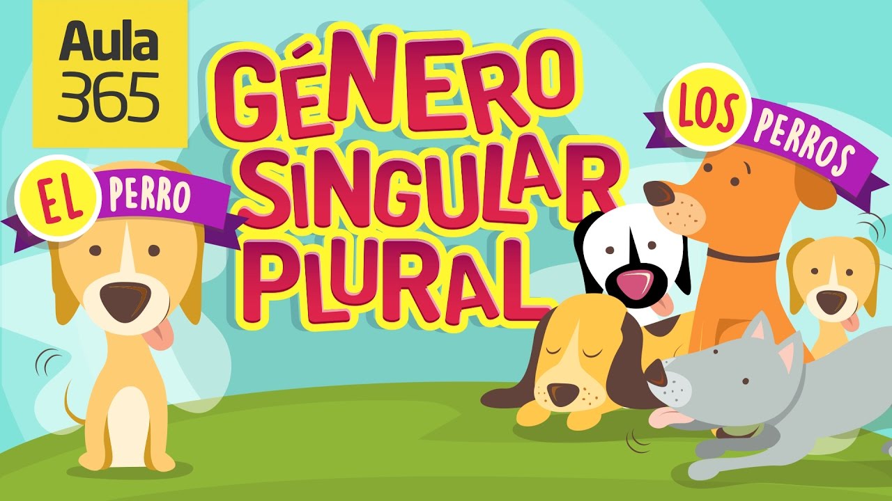 ¿Qué es el Género y Número de los Sustantivos? | Videos Educativos Aula365