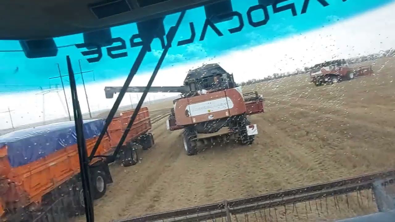 Продолжение уборки. Мог бы загореться......#3