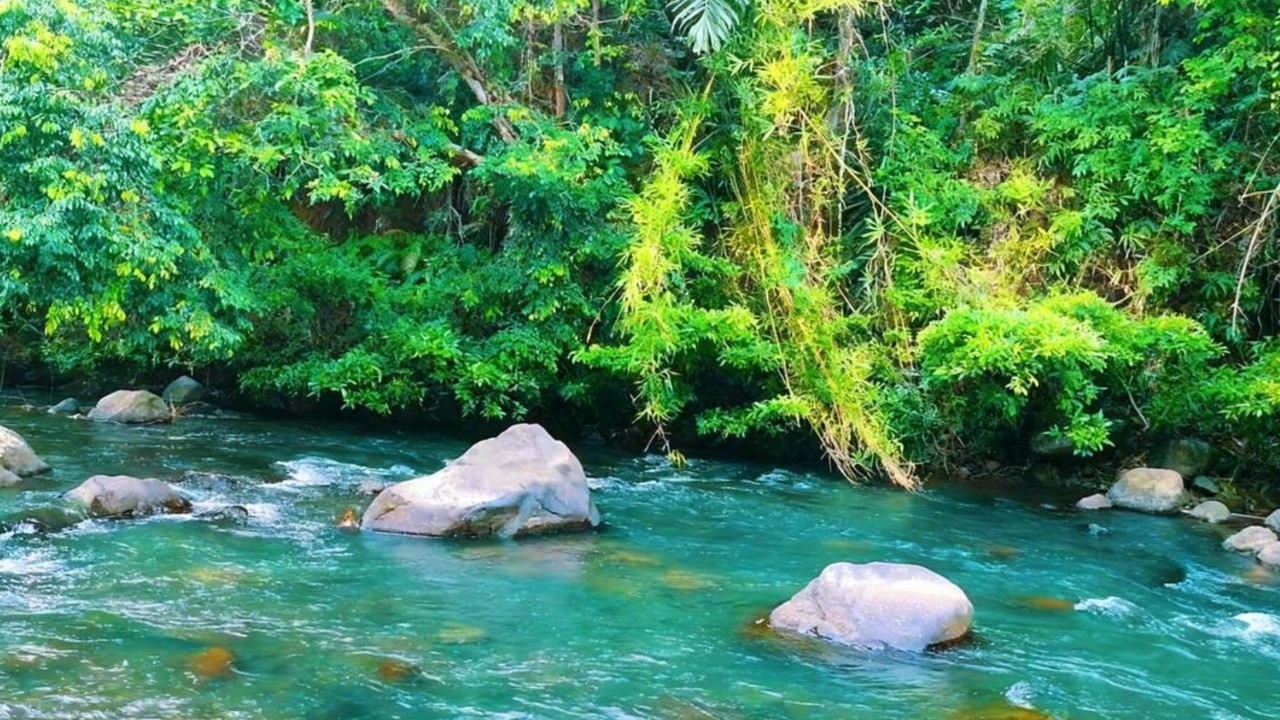 Calm River Sounds in Nature 🌿 White Noise for Stress Relief