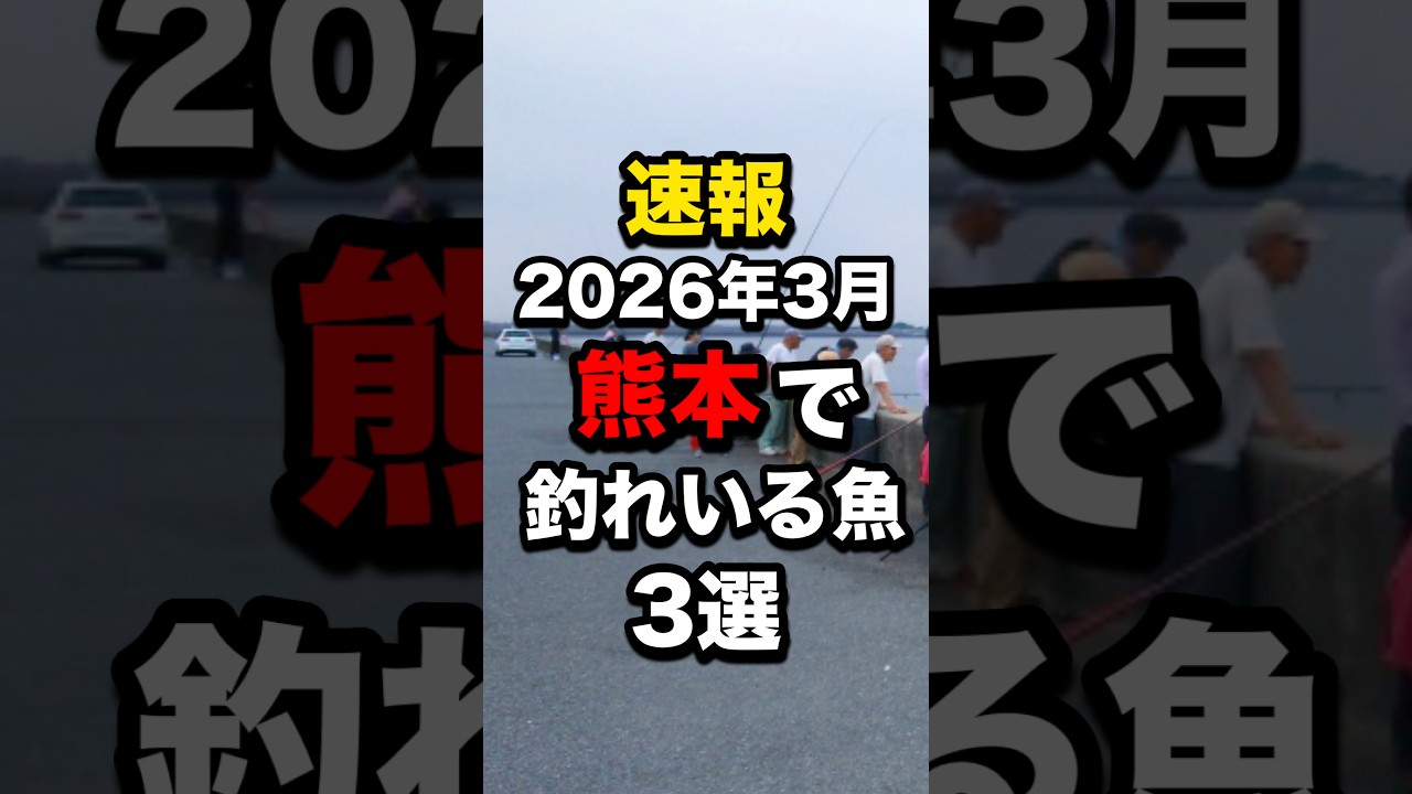 熊本で釣れている魚3選#釣り #shorts
