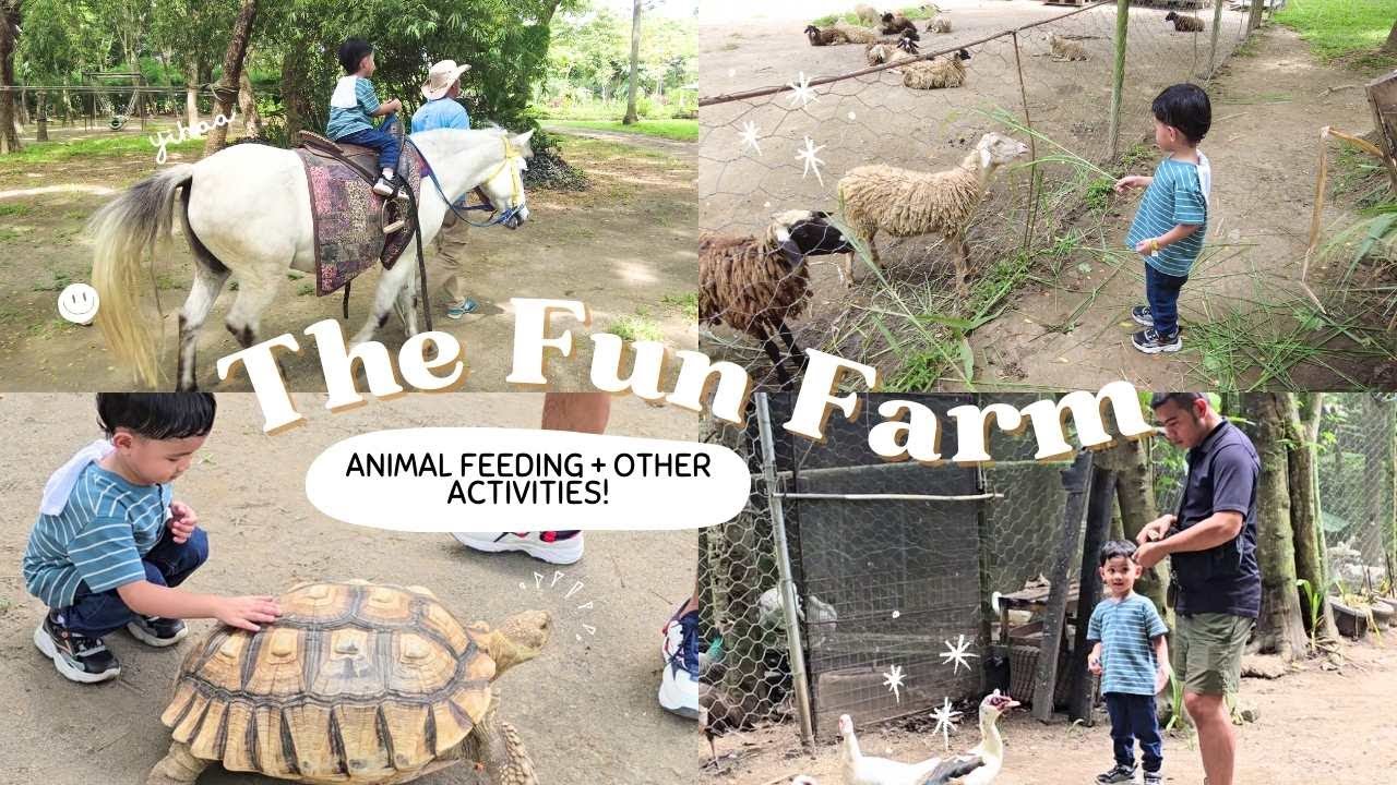 Fun Farm at Sta Elena | iMariella