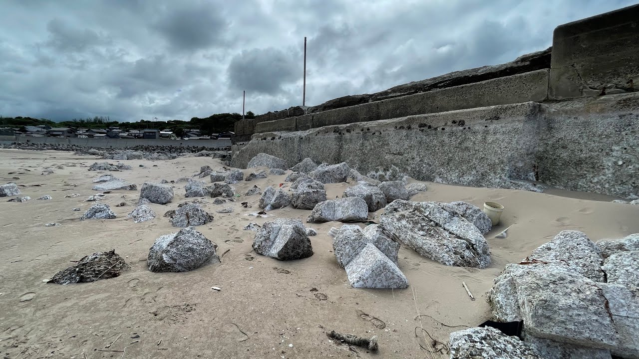 地震で干上がった漁港で7ヶ月生存した奇跡の生物