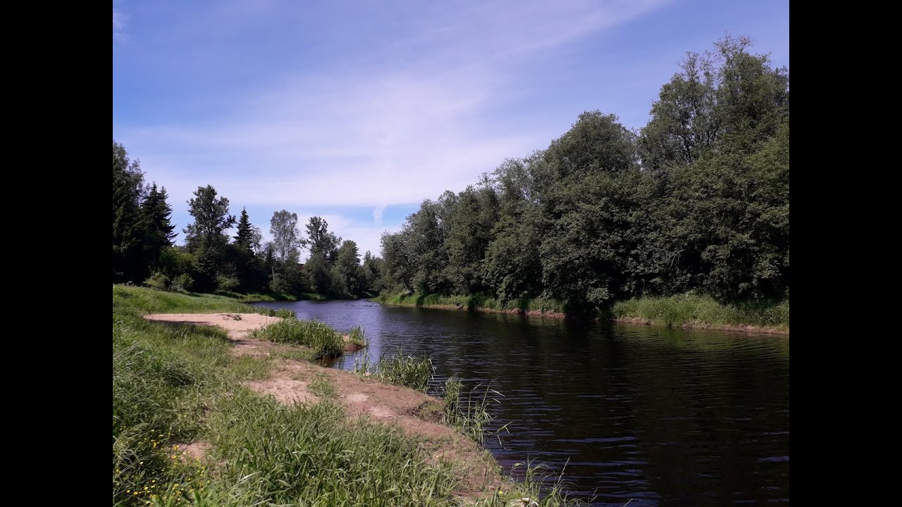 РЕКА МГА.  Ленинградская область. Какая рыба водится, можно ли купаться? 0+