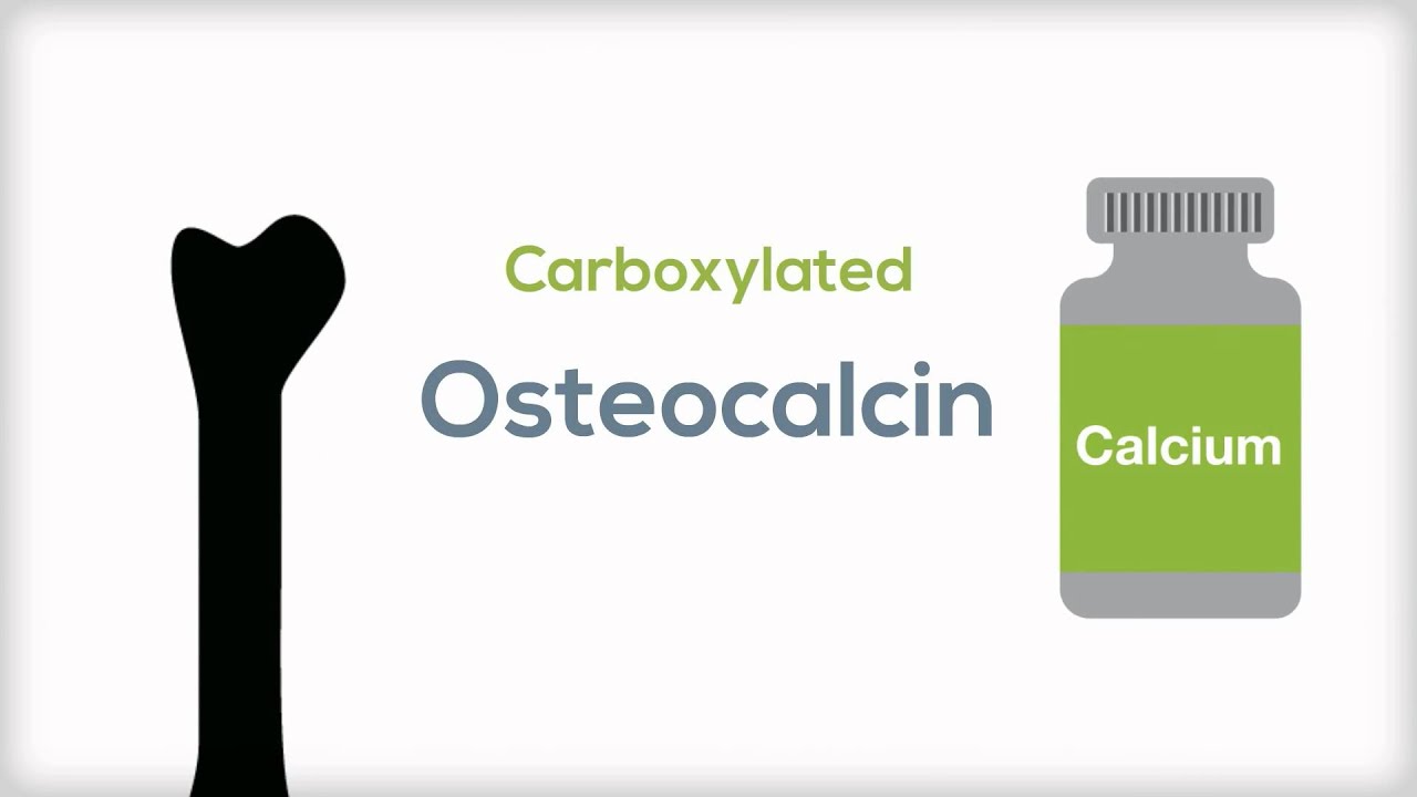 HealthKey.tv | Bone Health | Vitamin K