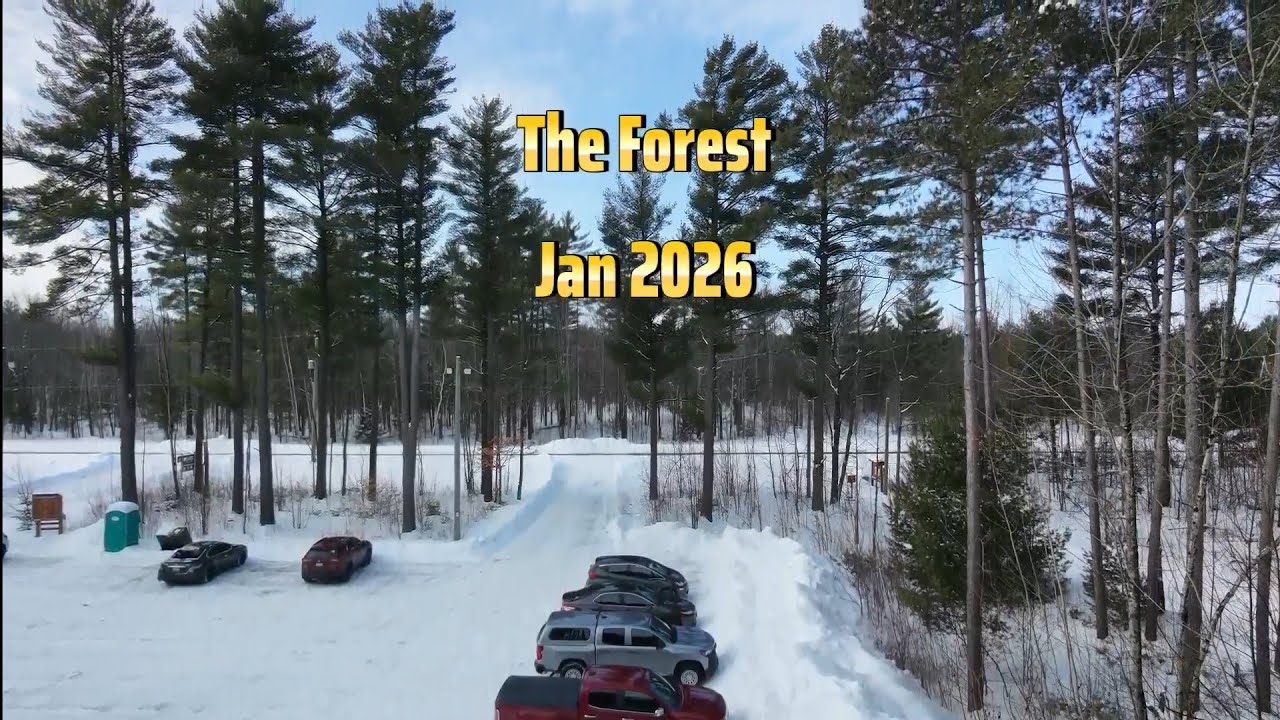 Larose Forest Flight
