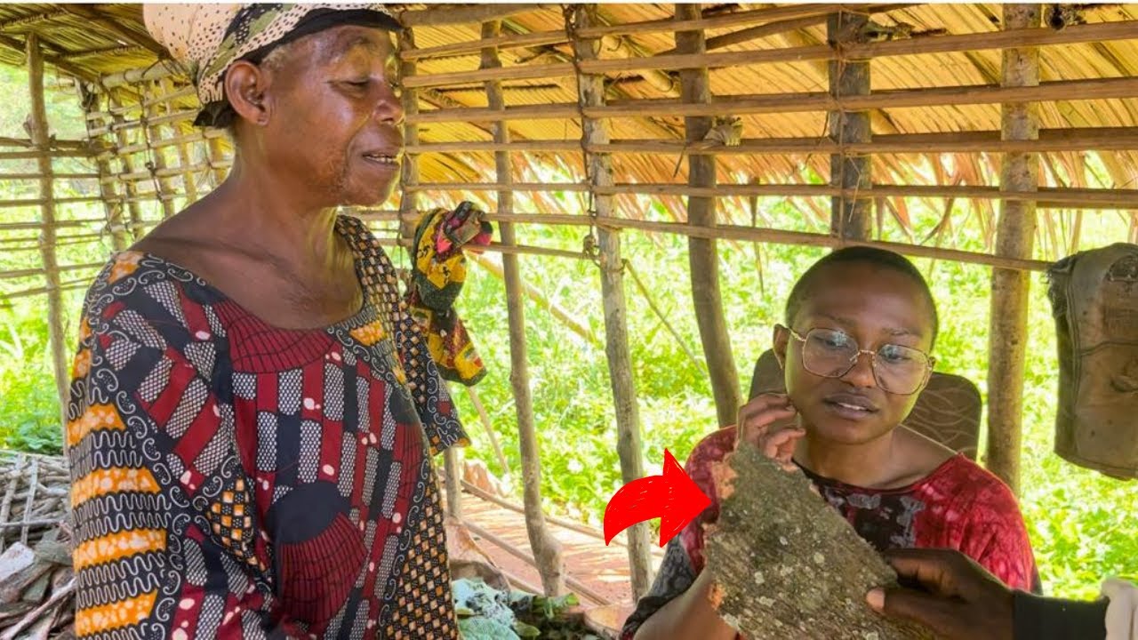 Les pygmées de Tembé au Cameroun vous livrent leurs SECRETS des plantes!