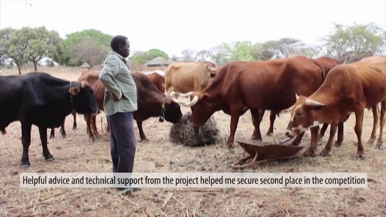 Nkayi Success Stories