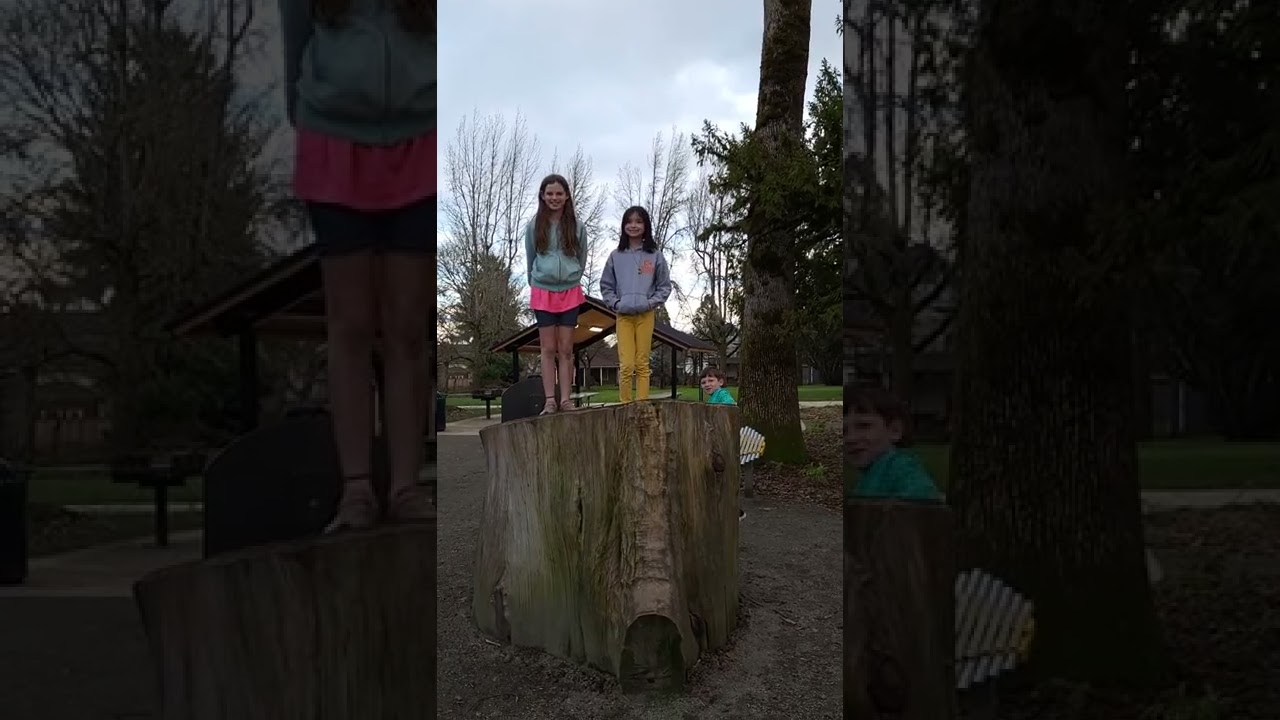 Natural playground - Forest Grove Oregon Anna and Abby's yard