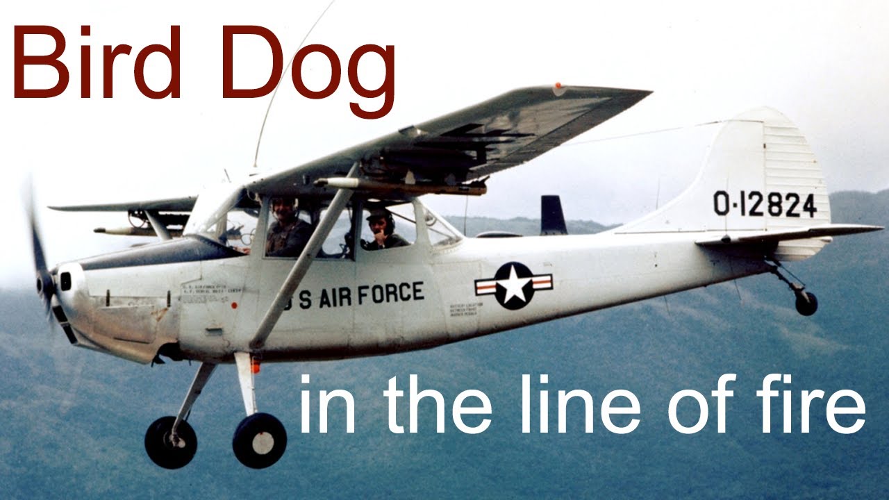 Bird Dog in the line of fire - Vietnam War