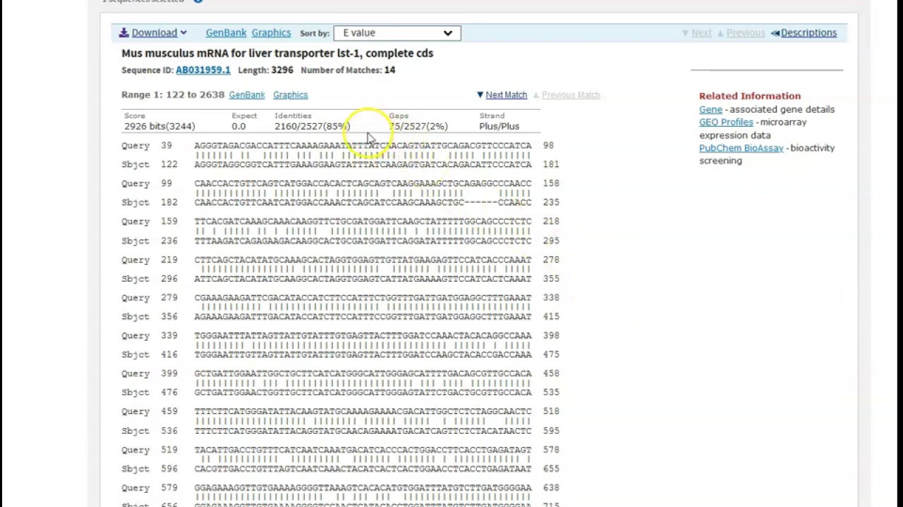 NCBI BLAST - Alineamiento en pares
