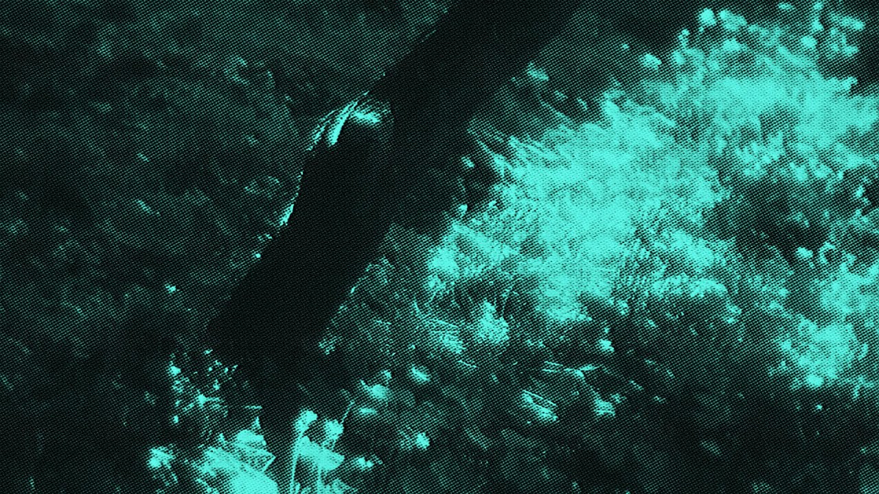 walkin' in the woods, dreamin' of u // shoegaze dreampop