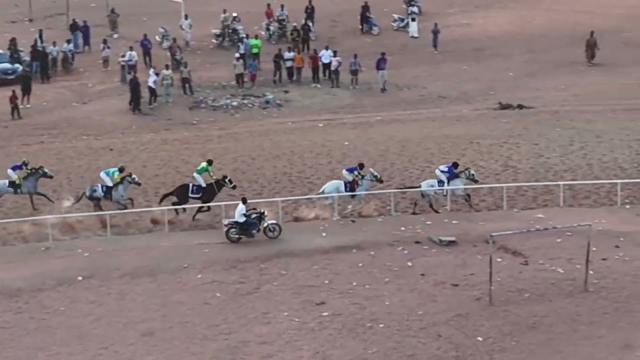 Les Cracks de Bamako du 15/02/26 ( 1er Ferrari 🥇) au grand prix sanya industrie 