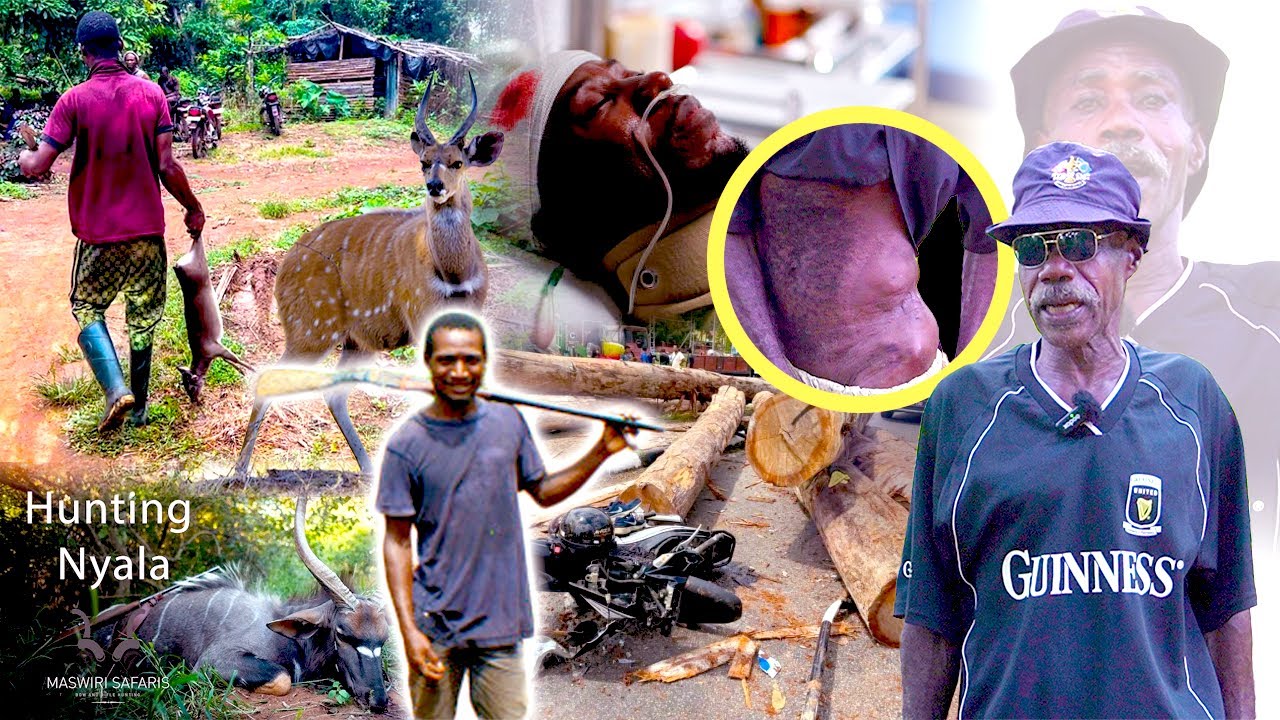 Whoa! 😱 Tragic Hunter’s Lorry Crash: Shocking Encounters with Forest Witches and Dwarfs | No Juju...