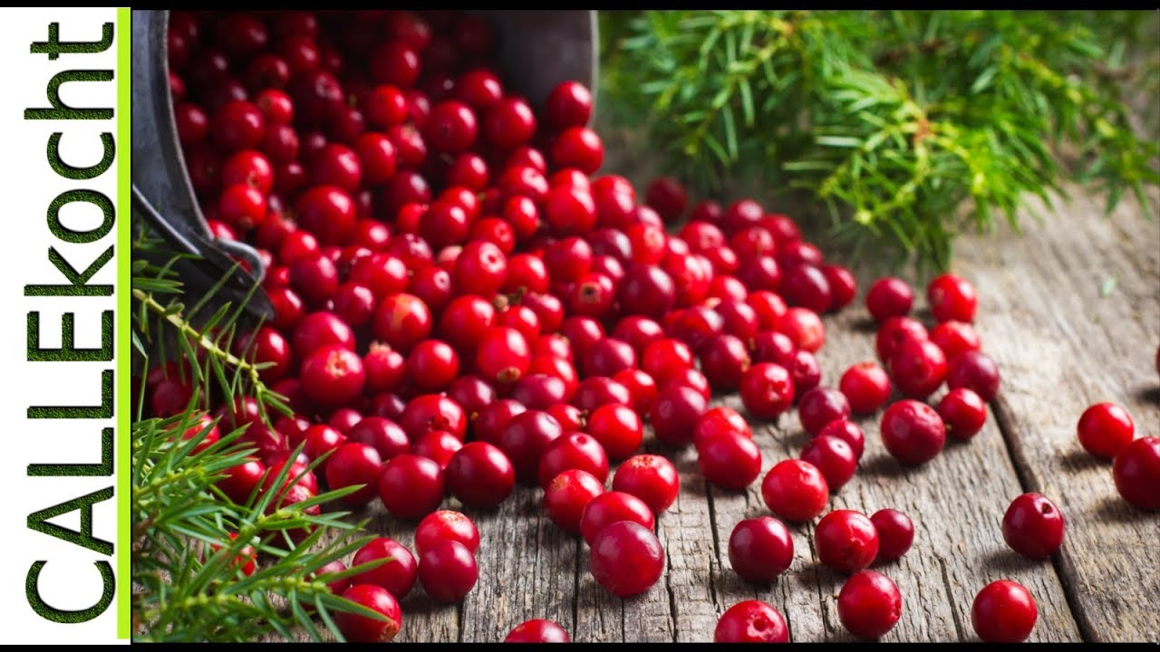 Frische Cranberry als Kompott selber kochen. Omas Rezept f&uuml;r Moosbeeren zu Wildgerichten