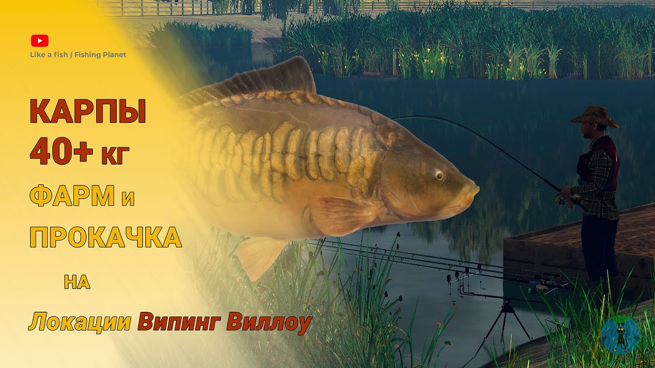 Fishing Planet - Карпы 40+ кг на Випинг Виллоу. Фарм, прокачка на Карпах. Прикорм на большого Карпа.