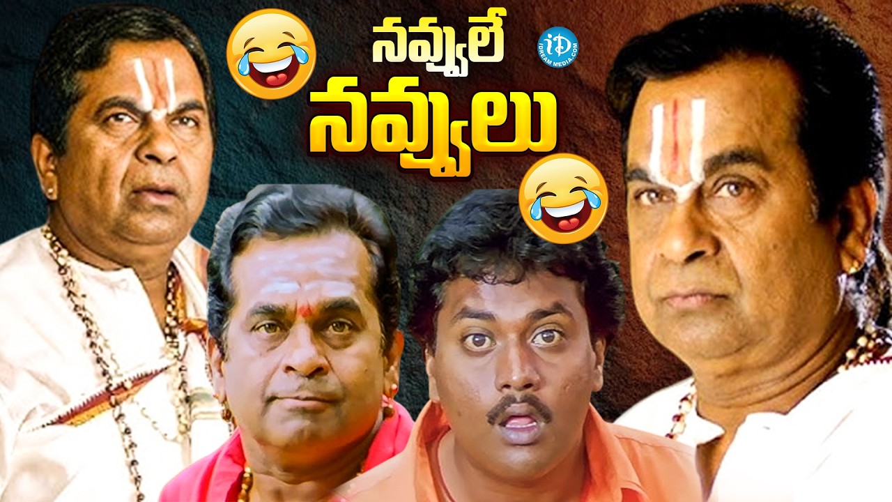 బ్రహ్మీ సునీల్  నవ్వులే నవ్వులు | Brahmanandam And Sunil Super Hit Comedy Scenes | iDream Vizag