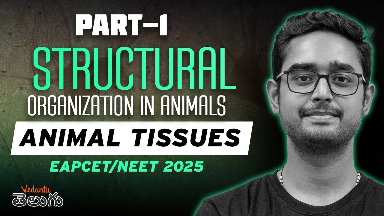 Animal Tissues One Shot | Structural Organization | NEET 2025 | EAMCET 2025 | Ajay Kumar Sir