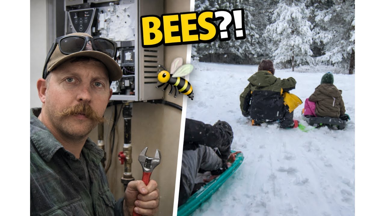 Dad Life - BEEs in the Water Heater & Sledding With the Kids