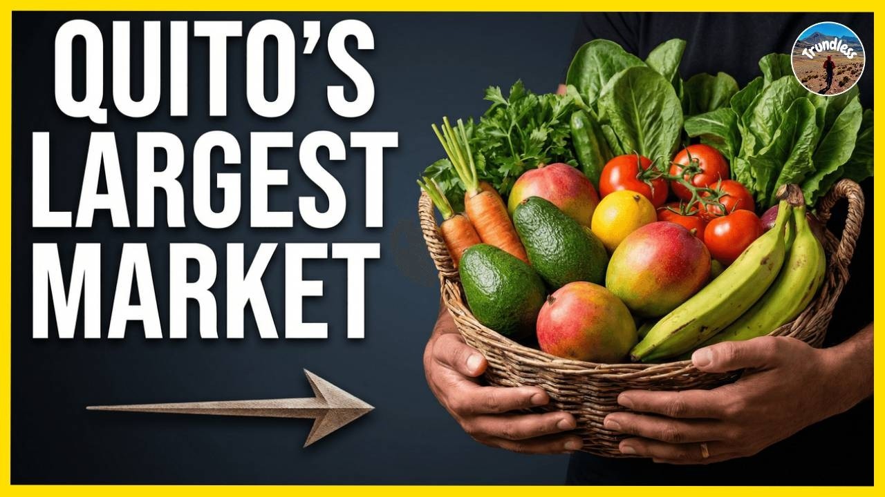 Mercado Mayorista, Ecuador's BIGGEST Fruit & Vegetable Market 🇪🇨