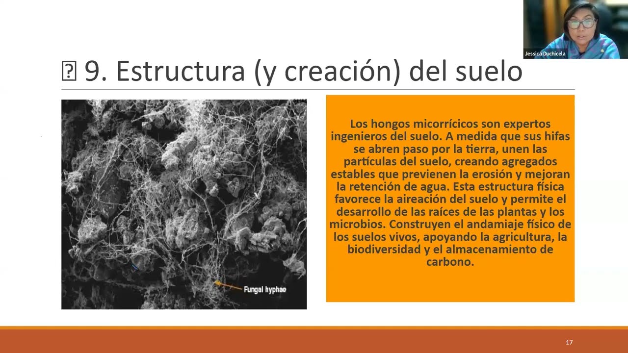 Micorrizas: puentes invisibles y servicios ecosistémicos | Jessica Duchicela