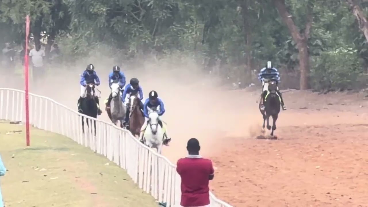 1/3/2026 COURSE HIPPIQUEORDINAIRE SAISON 2025-2026 18ème JOURNEE Course de Cracks 1er Ferrari🐴