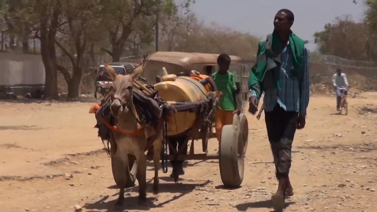 Somali'de çocukların tek isteği yaşamak