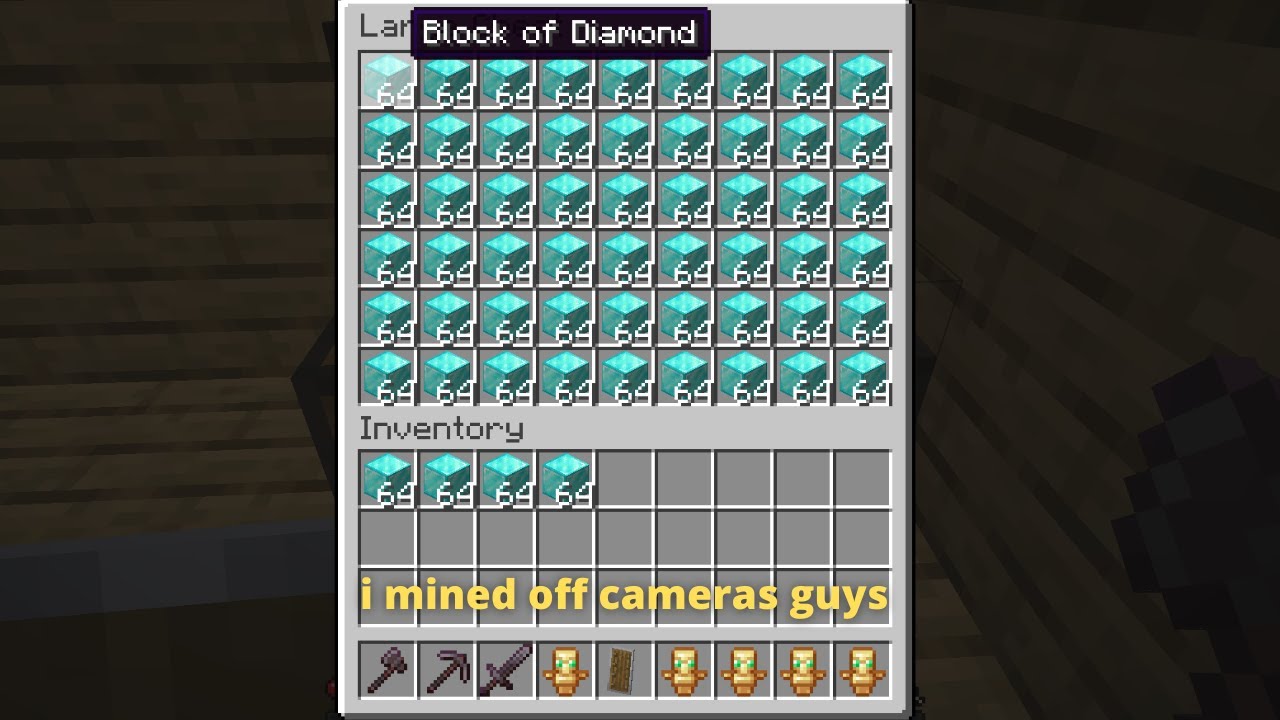 minecraft youtubers be like:
