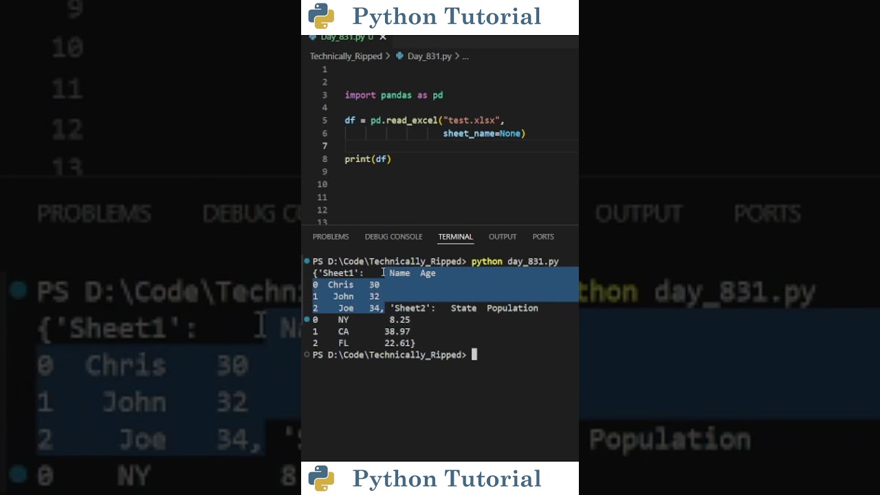 Read Multiple Excel Sheets With Pandas | Python Tutorial