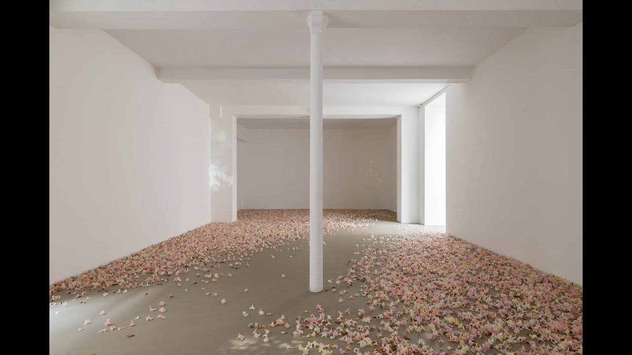 Allora & Calzadilla, Antille, 2022