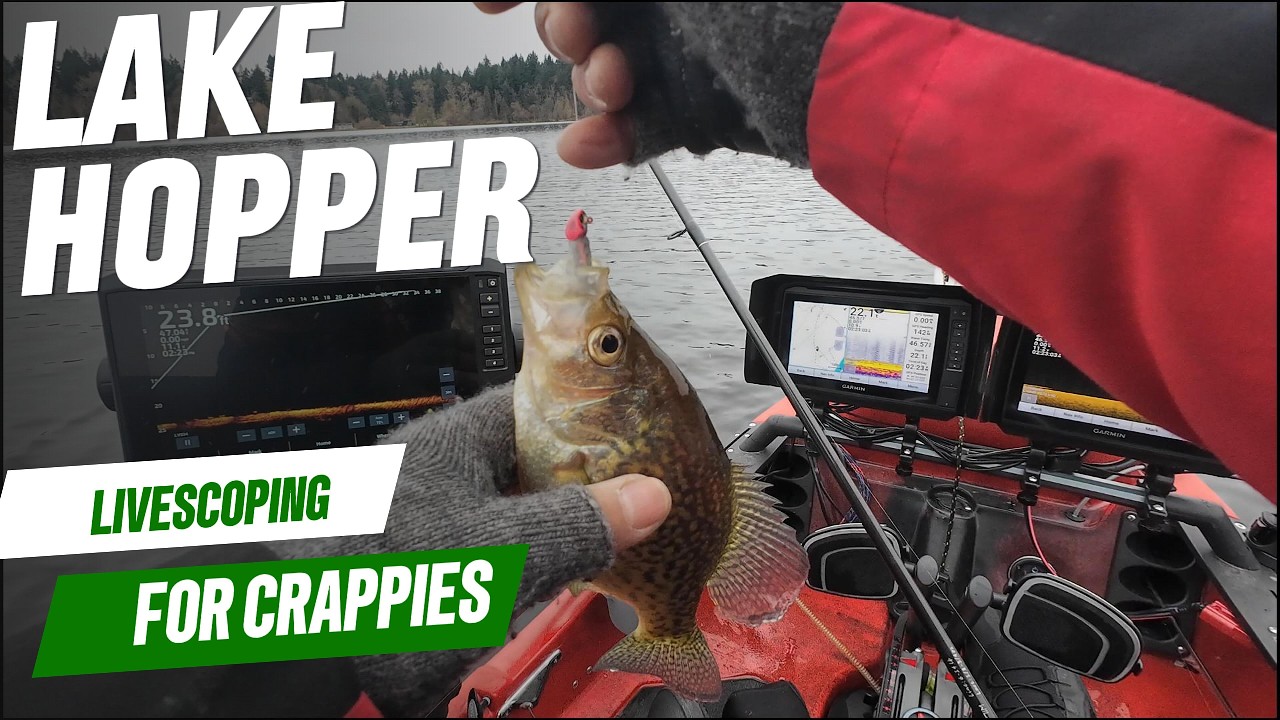 Livescoping for carppies