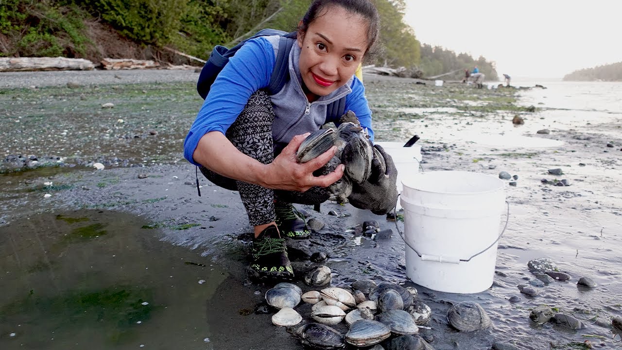 Digging for CLAMS! (catch and cook)