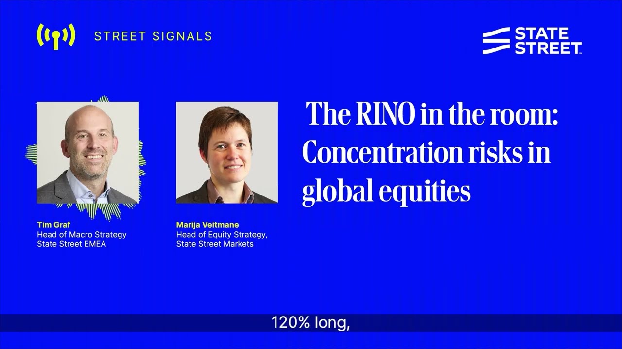 The RINO In the Room: Concentration Risks in Equities