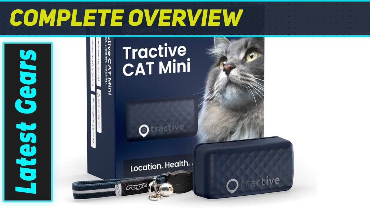 Tractive GPS-трекер для кошек: лучший вариант для любителей побега и обеспокоенных владельцев?