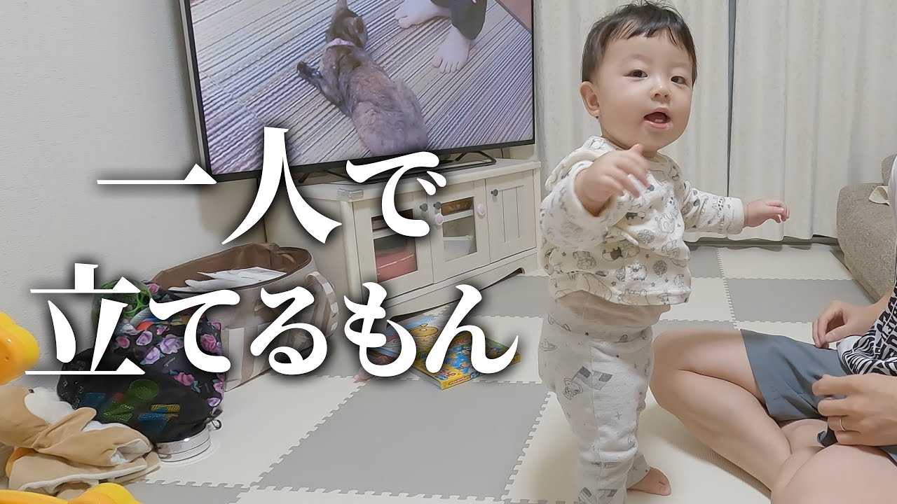 【生後10ヶ月】一人立ち少しできた！からの、ひなたくんミサイルで世界平和☆【赤ちゃんの日常】