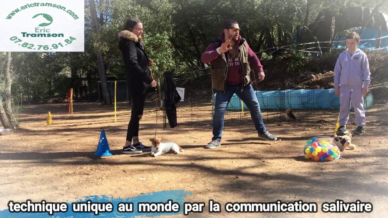 Comment Eric Tramson procède à l’éducation d’un chiot de race Jack Russel destructeur ?
