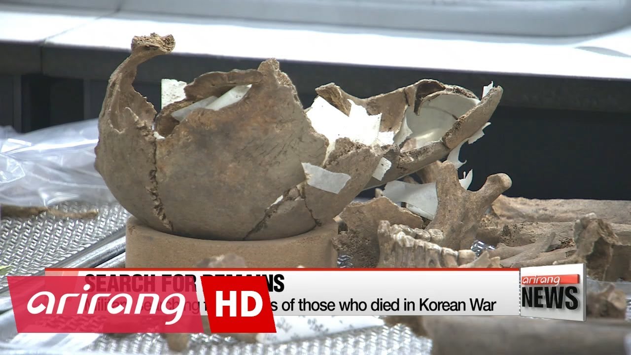 ROK army conducts excavation of human remains from Korean War with international students