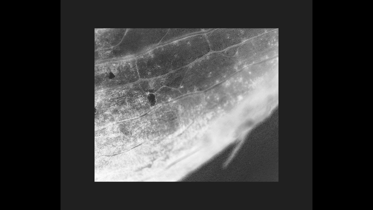 Jameson Feakes & Josten Myburgh - un lieu pour etre deux (Antoine Beuger) [Full Album]
