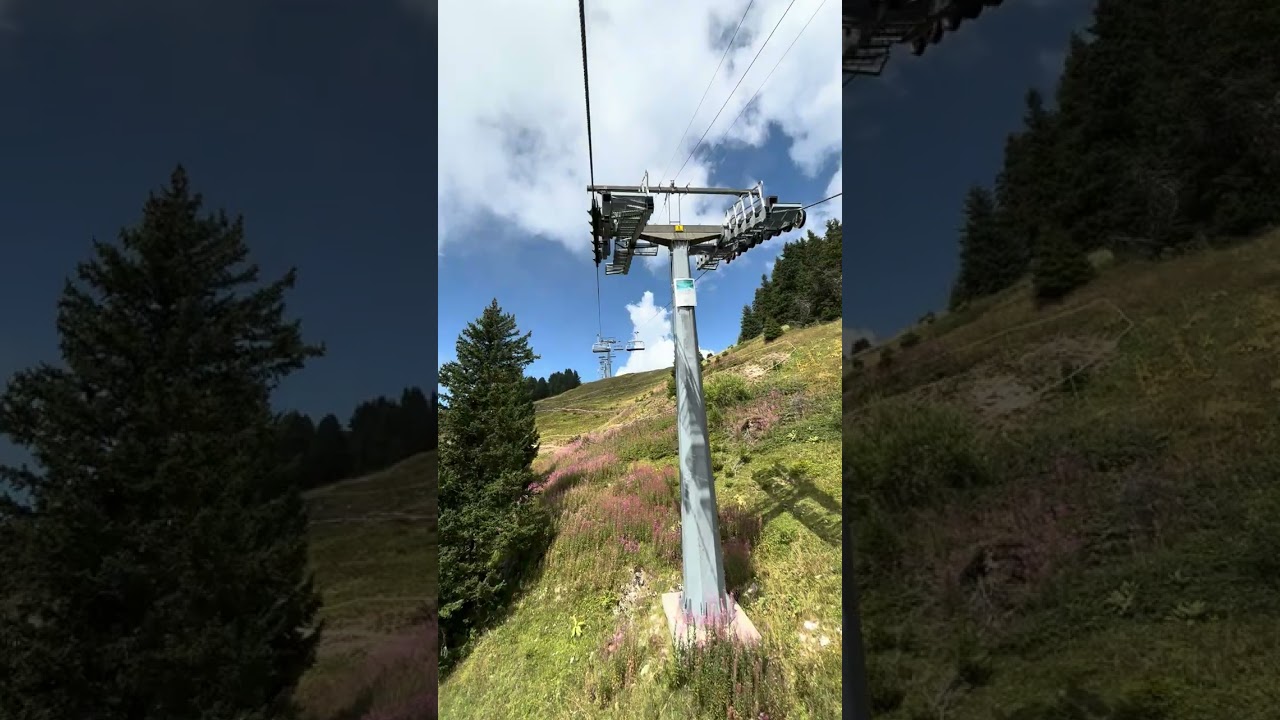 Tsd 6 Grand Chammossaire (Villars sur Ollon VD)
