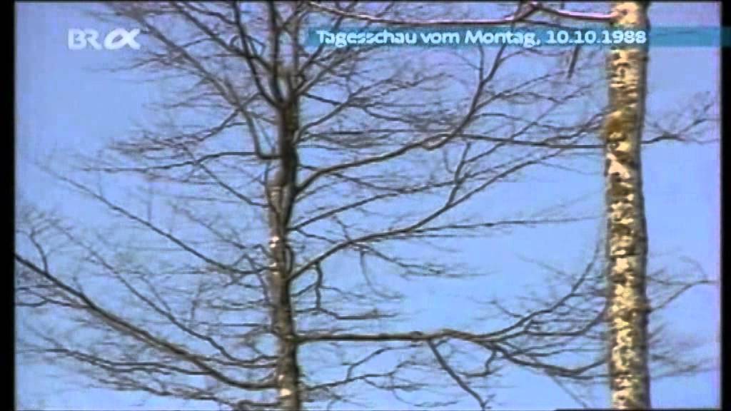 ARD-Tagesschau am 10.10.1988: Waldsterben (&Ouml;ko-Angstmache vor 25 Jahren)