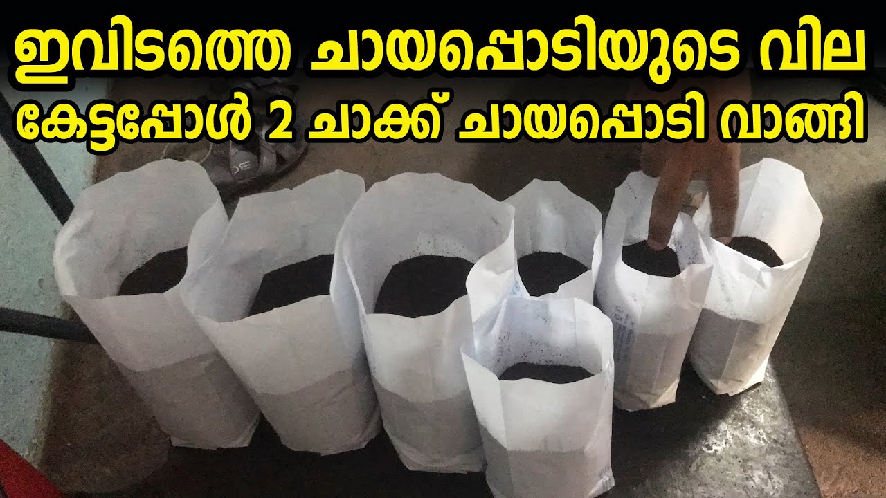ഇവിടത്തെ ചായപ്പൊടിയുടെ വില കേട്ടോ വന്നാല്‍ വണ്ടി നിറയെ കൊണ്ടുപോകാം | Tea powder factory | Tasty tea