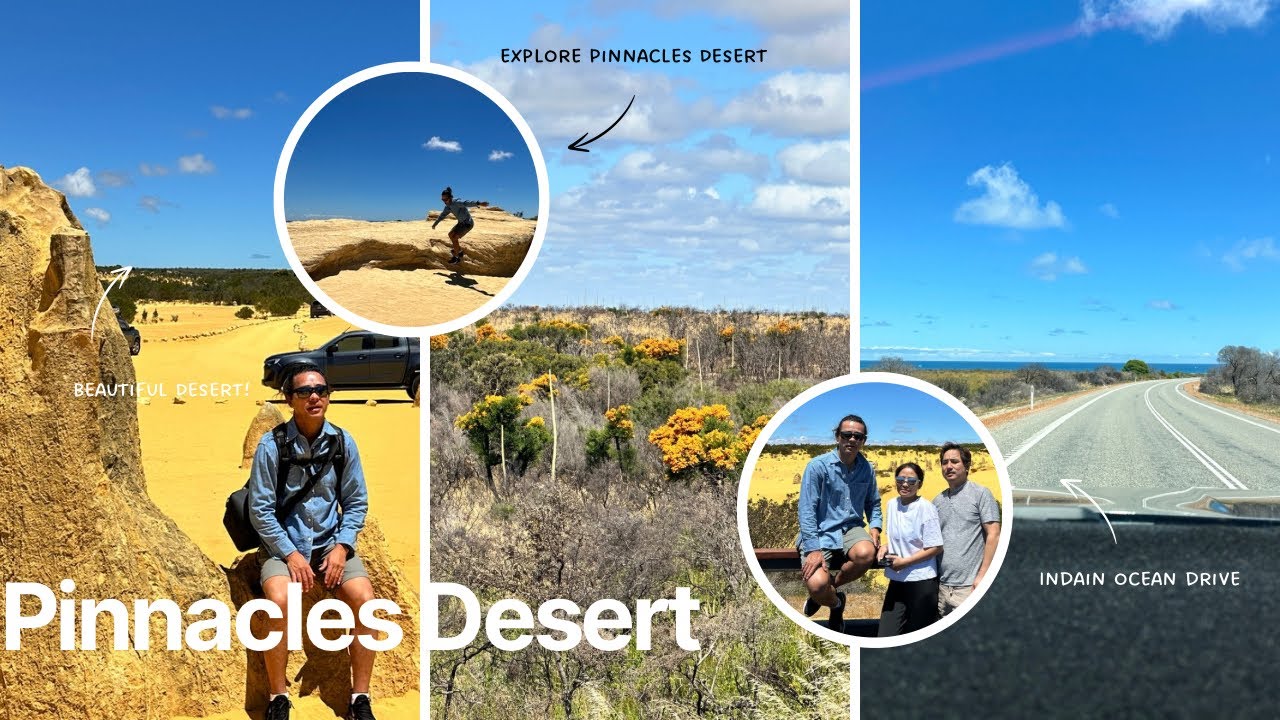 Discover the Magic of Perth’s Pinnacles Desert in Minutes!