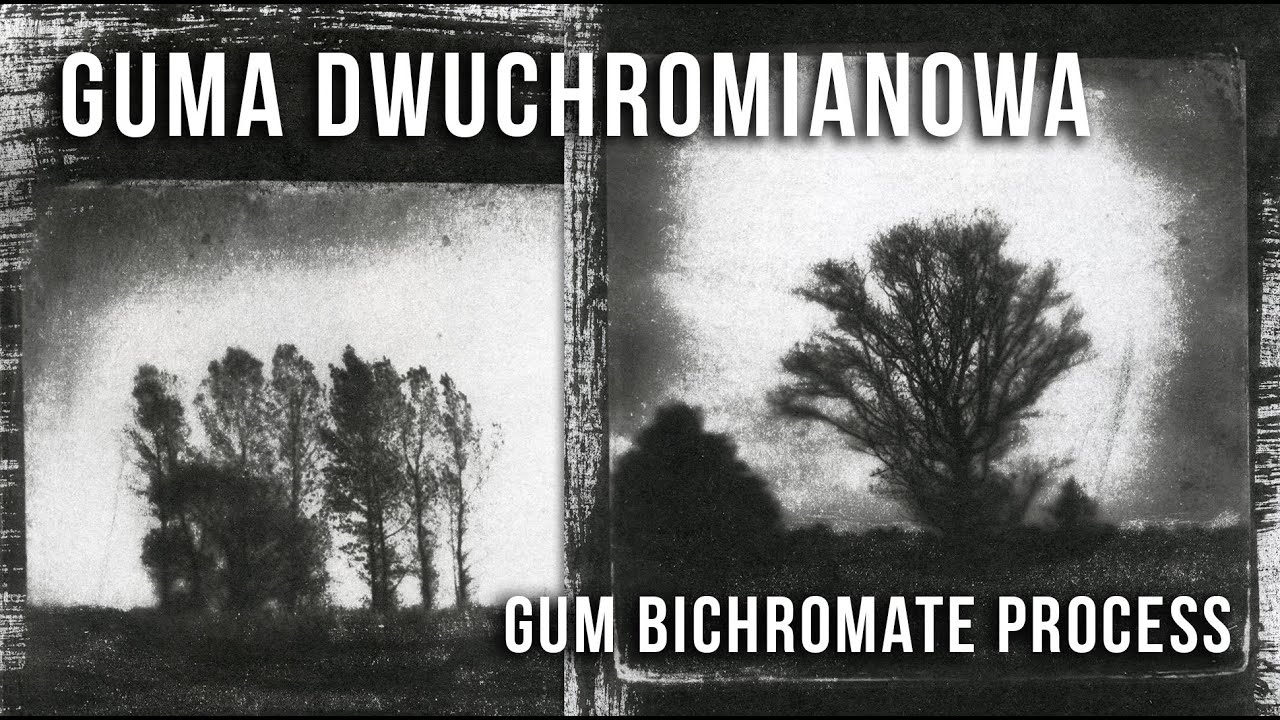 GUMA DWUCHROMIANOWA / Gum Bichromate Process