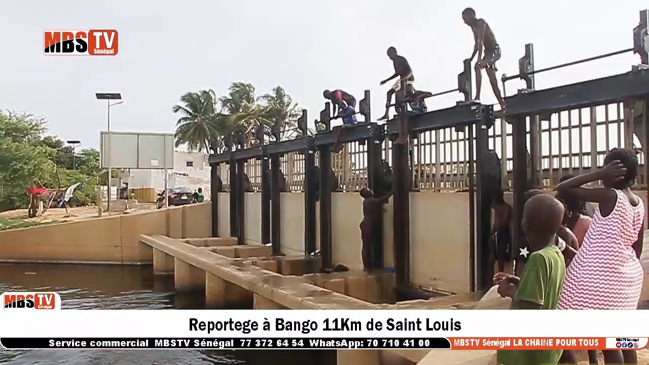 Reportage sur  Dakhar BANGO à 11km de Saint Louis, il est né en 1864